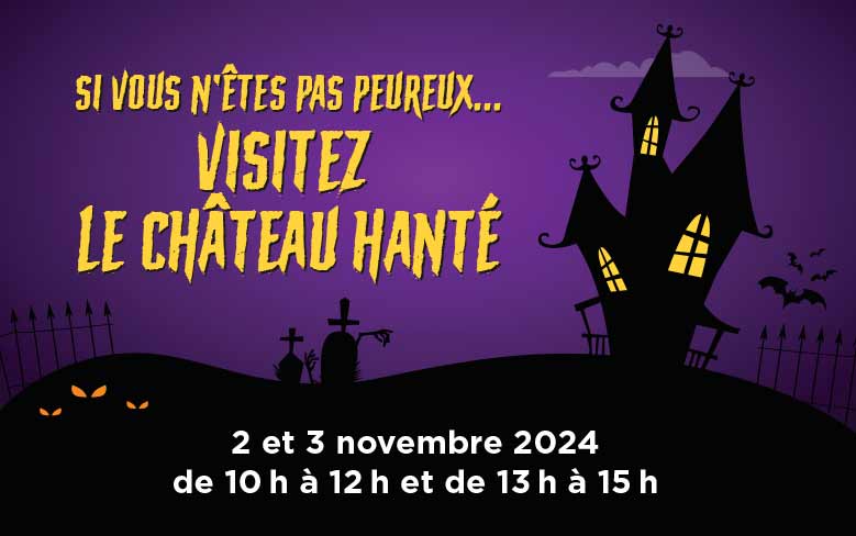 GaleriesLacStJean_Halloween-2024_Chateau_web